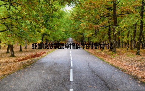 虾苗投放需要掌握科学的操作方法