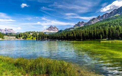 销售渠道的拓展至关重要