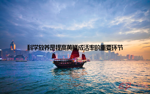 科学放养是提高黄鳝成活率的重要环节