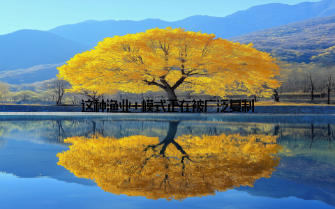 这种渔业+模式正在被广泛复制