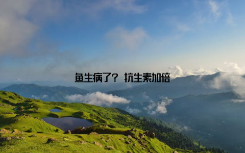 鱼生病了? 抗生素加倍