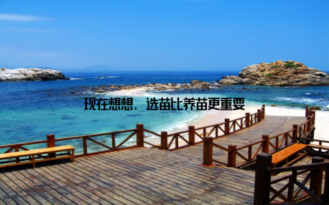 现在想想, 选苗比养苗更重要