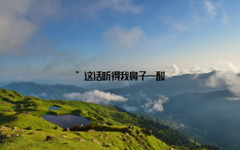 ”这话听得我鼻子一酸