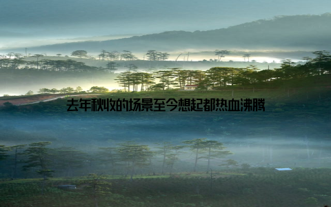 去年秋收的场景至今想起都热血沸腾