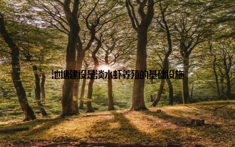 池塘建设是淡水虾养殖的基础设施