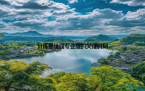 分拣是体现专业度的关键时刻