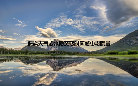 恶劣天气或水质突变时应减少投喂量