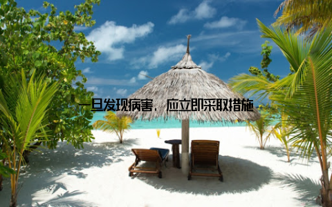 一旦发现病害, 应立即采取措施