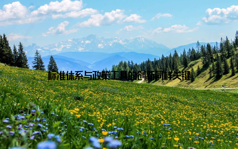 标准体系与政策工具的创新同样关键