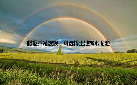 根据养殖规模, 可选择土池或水泥池