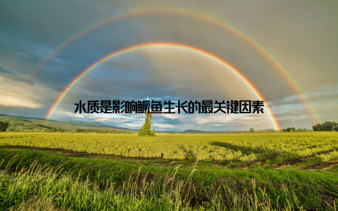 水质是影响鳜鱼生长的最关键因素