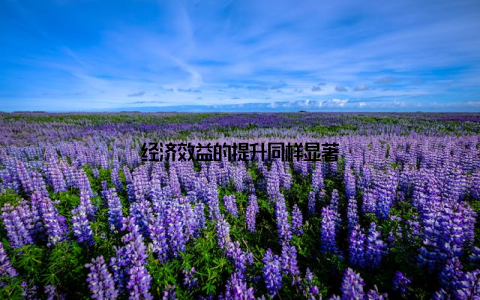 经济效益的提升同样显著