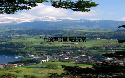 ”他的声音里满是无奈