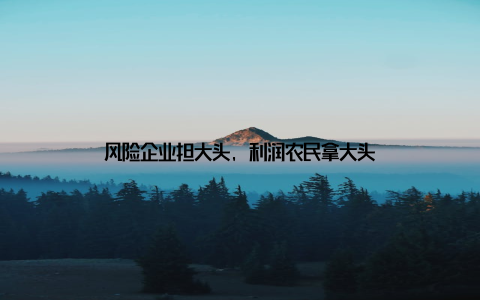 风险企业担大头, 利润农民拿大头