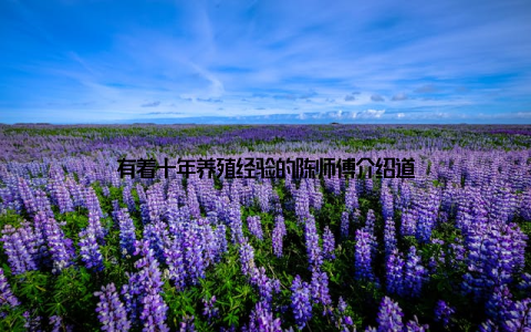 有着十年养殖经验的陈师傅介绍道