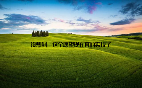 没想到, 这个愿望现在真的实现了