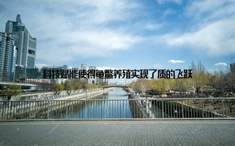 科技赋能使得龟鳖养殖实现了质的飞跃