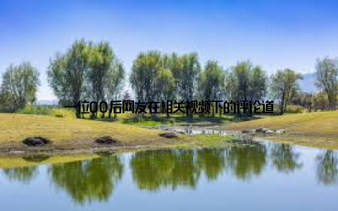 一位00后网友在相关视频下的评论道