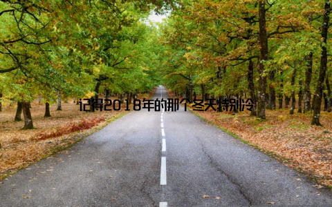 记得2018年的那个冬天特别冷