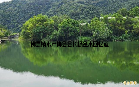 佛昙镇水产协会会长杨金水回忆道