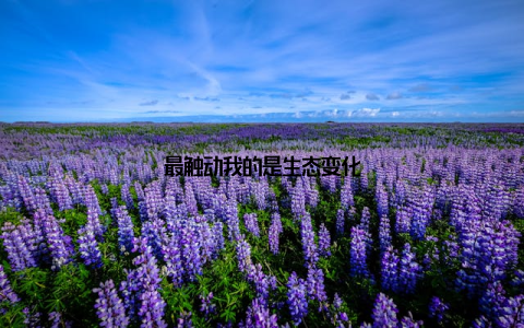 最触动我的是生态变化