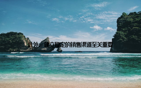 此外, 建立稳定的销售渠道至关重要