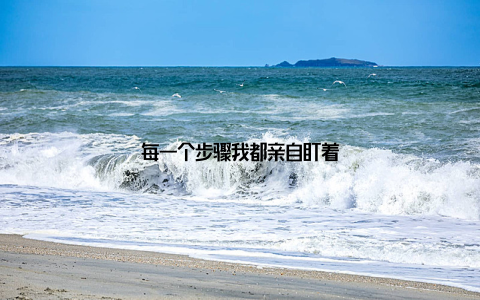 每一个步骤我都亲自盯着