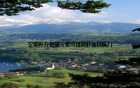 定期补充微量元素可提高虾体抗病力