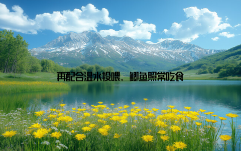 再配合温水投喂, 鲫鱼照常吃食