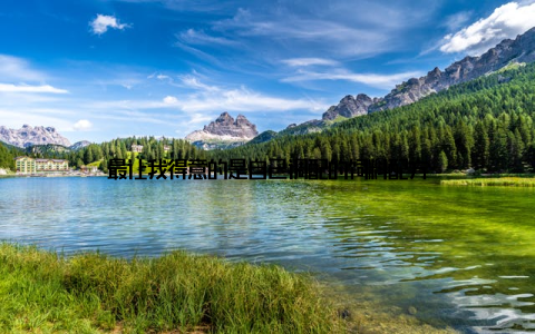 最让我得意的是自己调配的饲料配方