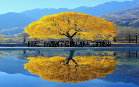 那天, 我遇到了号称龙虾大王的老李