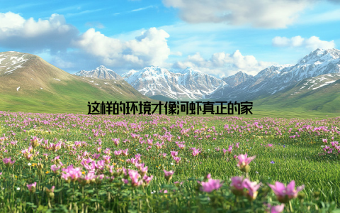 这样的环境才像河虾真正的家