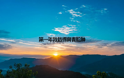 第一年我栽得鼻青脸肿