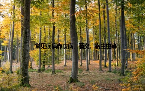 – 常见疾病赤皮病、肠炎、寄生虫等