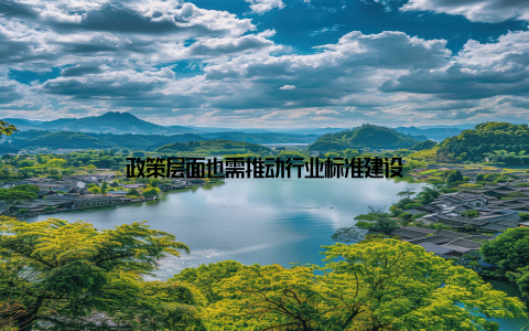 政策层面也需推动行业标准建设