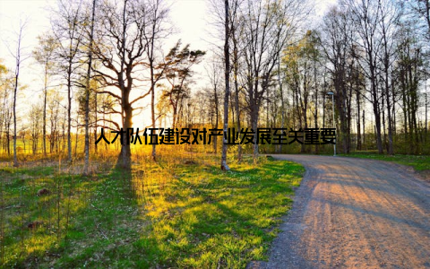 人才队伍建设对产业发展至关重要