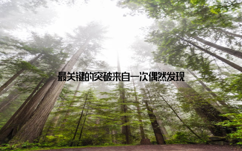 最关键的突破来自一次偶然发现