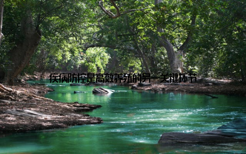 疾病防控是高效养殖的另一关键环节