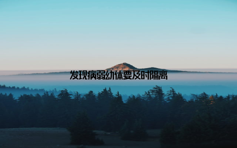 发现病弱幼体要及时隔离