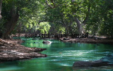 但我这人就是个倔脾气, 越挫越勇