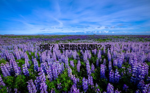 你呢? 还要继续观望吗? 完