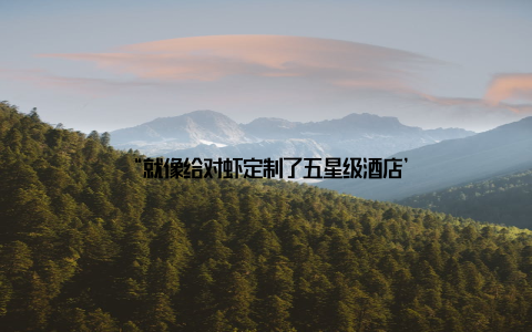 “就像给对虾定制了五星级酒店’