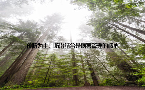 预防为主、防治结合是病害管理的核心