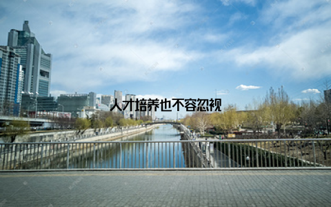 人才培养也不容忽视