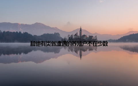 和他有类似遭遇的养殖户不在少数