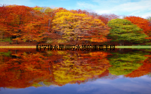 科学换水是调控水质的重要手段