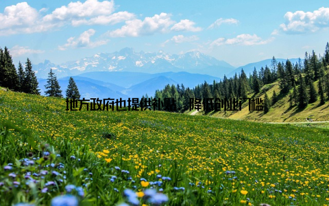 地方政府也提供补贴, 降低创业门槛