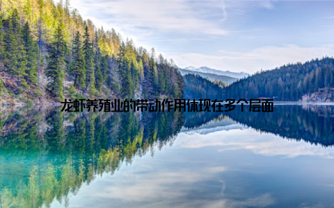 龙虾养殖业的带动作用体现在多个层面