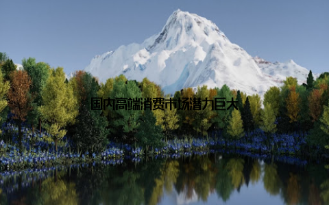 国内高端消费市场潜力巨大