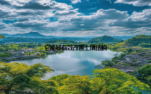 它能够有效改善土壤结构